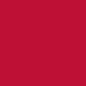 OLSC New South Wales - Large Logo - Youth Hoodie - Red Design